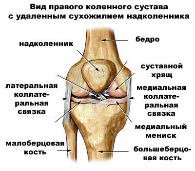 Дооперационная Фаза Восстановления