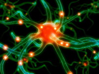 Периферическая нейропатия нерва