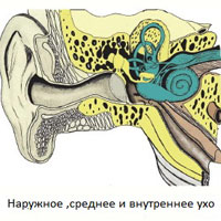 Вестибулярный синдром